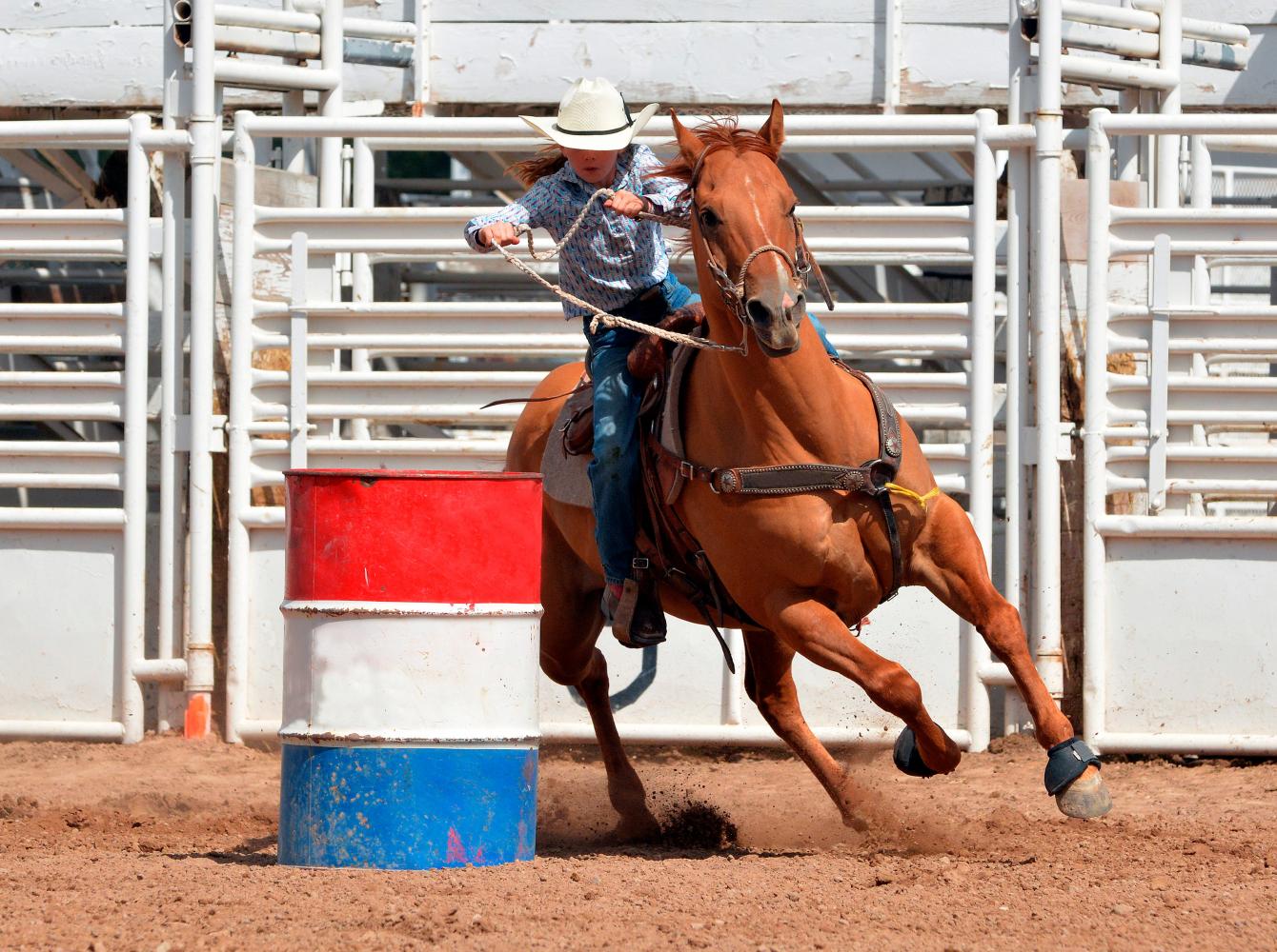 Carreras De Barriles Mustad Hoofcare Es   Barrelracing Shutterstock 338757194 