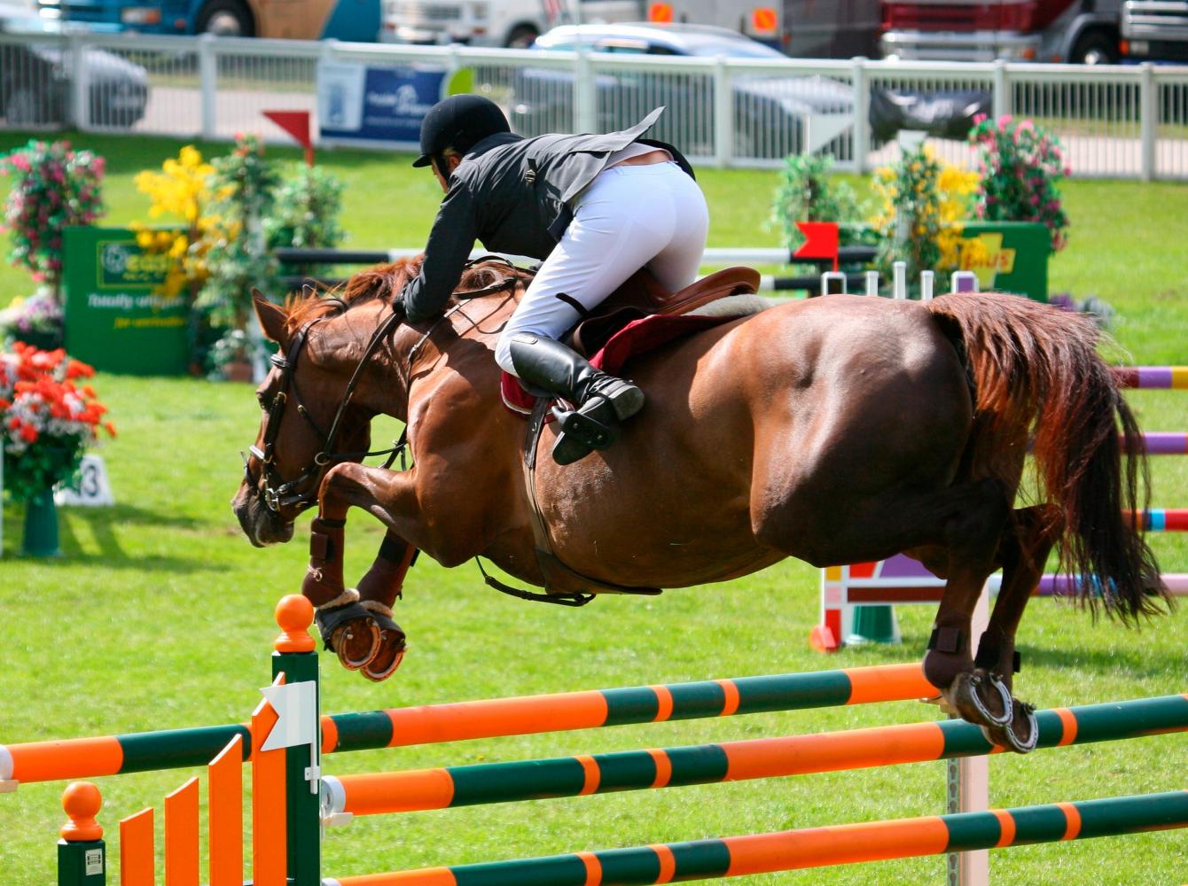 Cavalo pulando o obstáculo durante uma competição